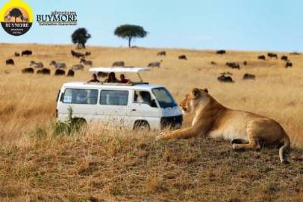 luxury safari kenya