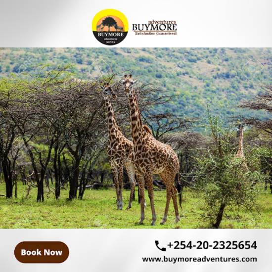 luxury safari Kenya