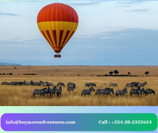 Luxury Safaris in Kenya